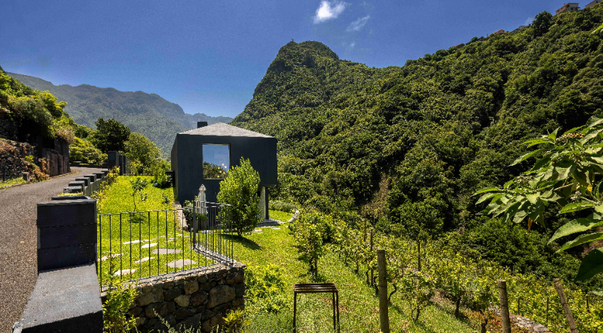 Terrabona: um refúgio na Laurissilva