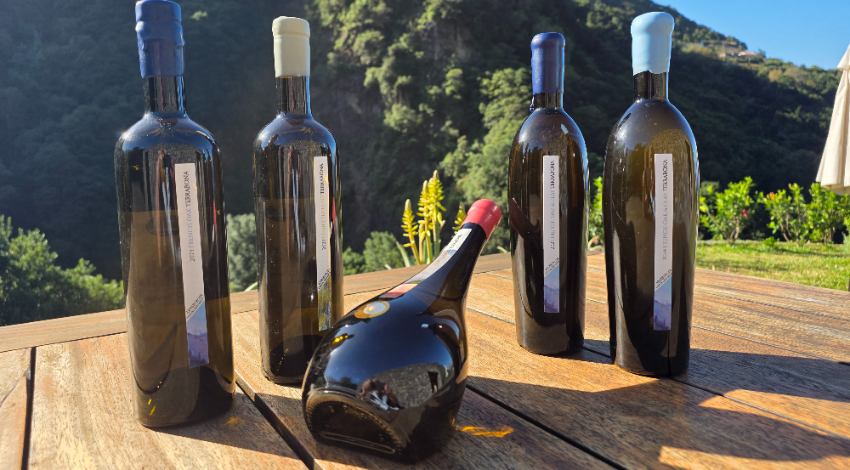 Terrabona entra numa nova fase