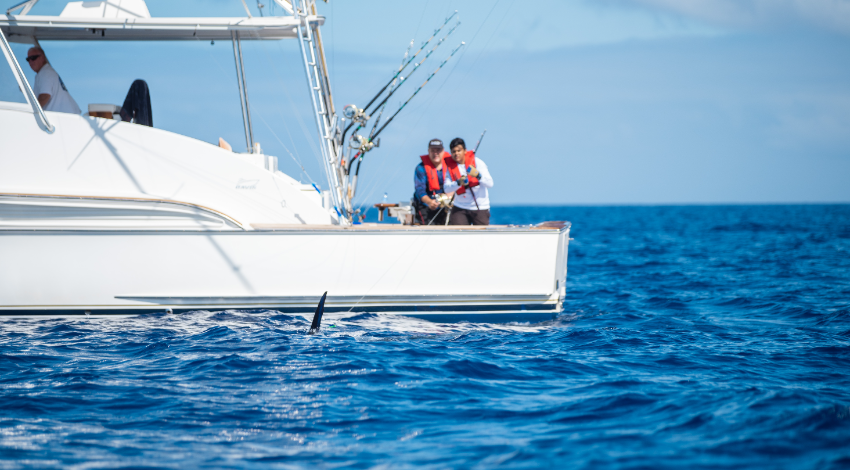 A sea of options Waiting to be explored
