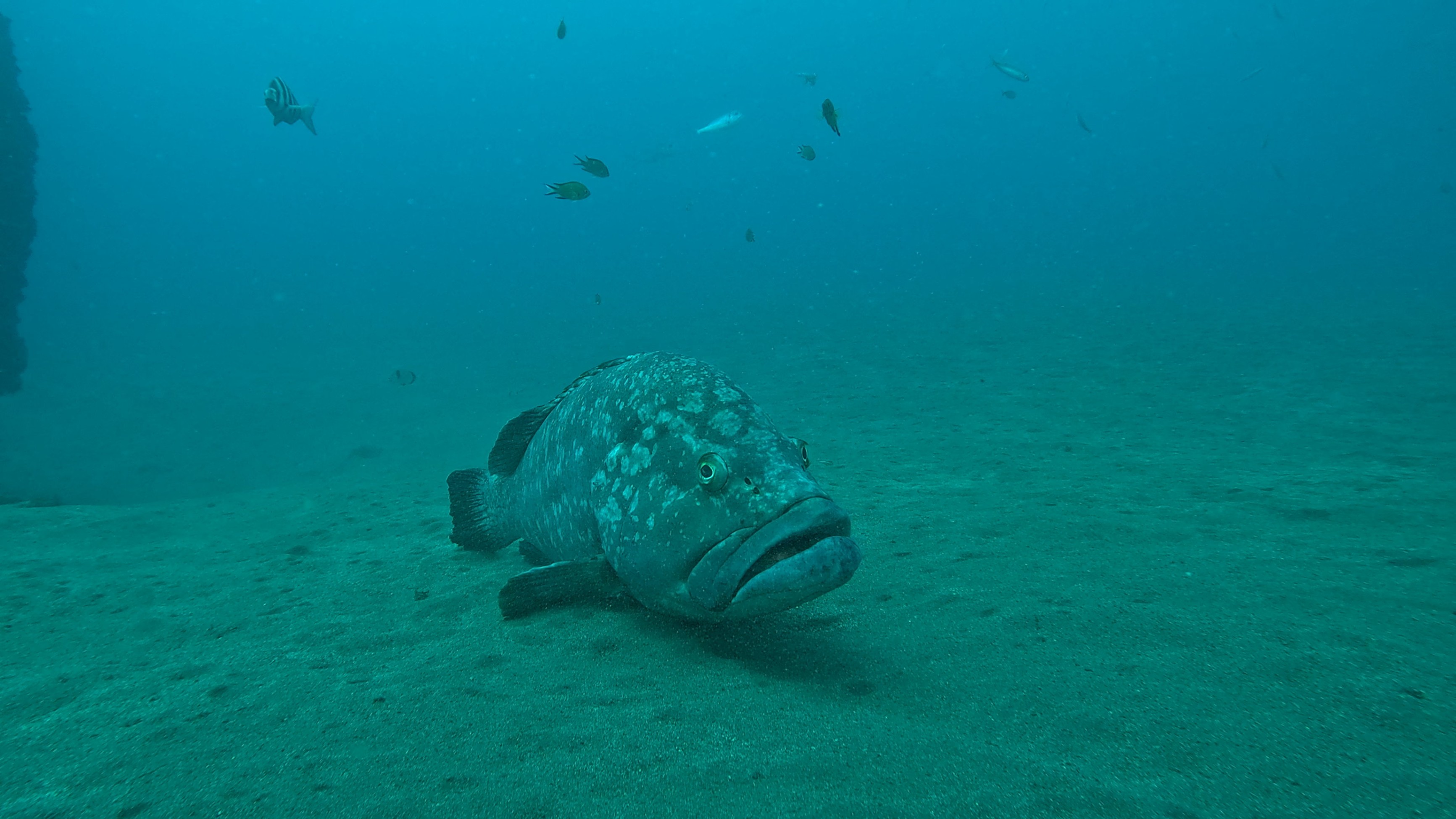 Foto: Manta Diving Centre