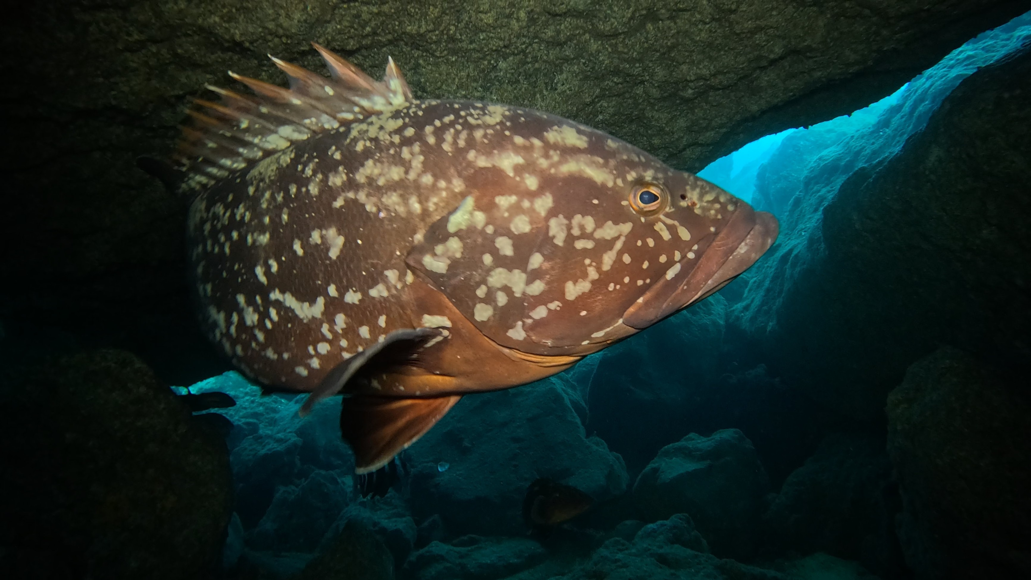 Fotos: Manta Diving Centre